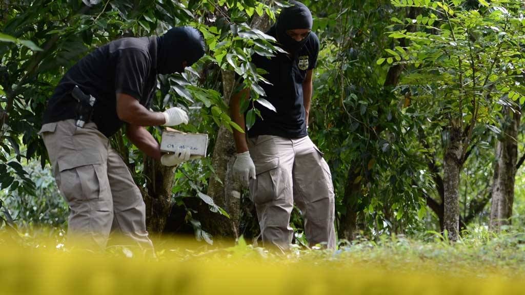 Se investigan 12 casos de presuntas ejecuciones sumarias
