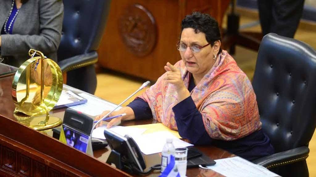 Lorena Peña del FMLN quiere despenalizar el aborto en esta legislatura