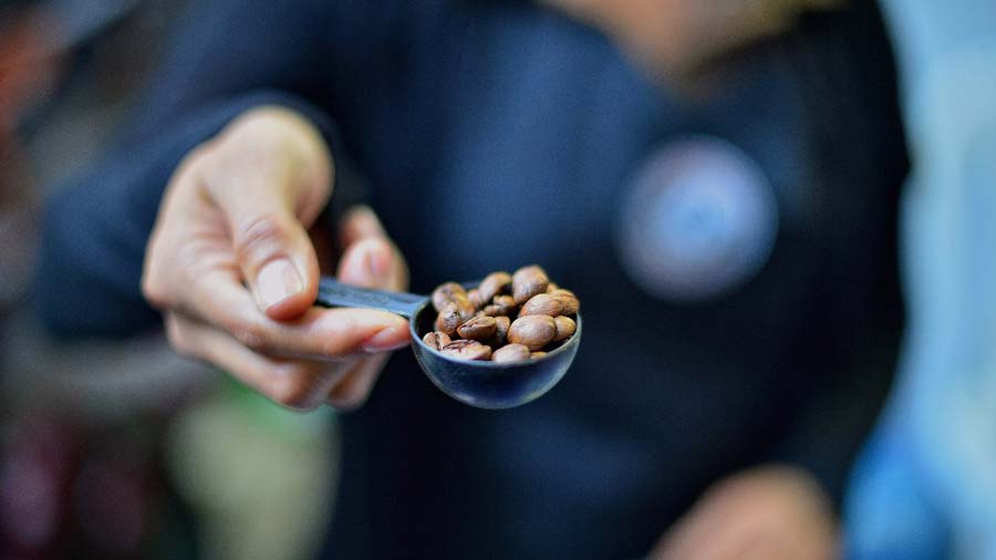 Ministro de Agricultura llega a la Asamblea a pedir préstamo para producción de café