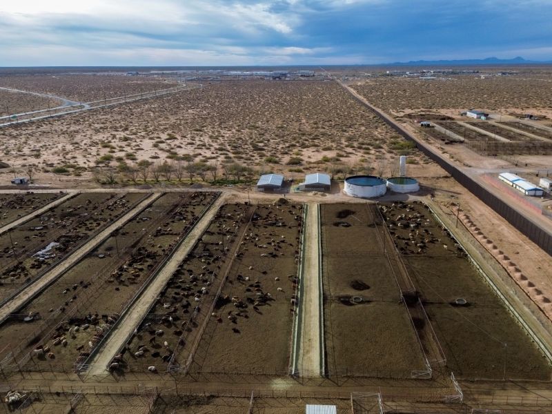 Ciudad Juárez-Asociación de Ganado