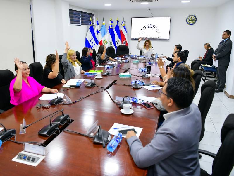 Comisión de Salvadoreños en el Exterior, Legislación y Gobierno