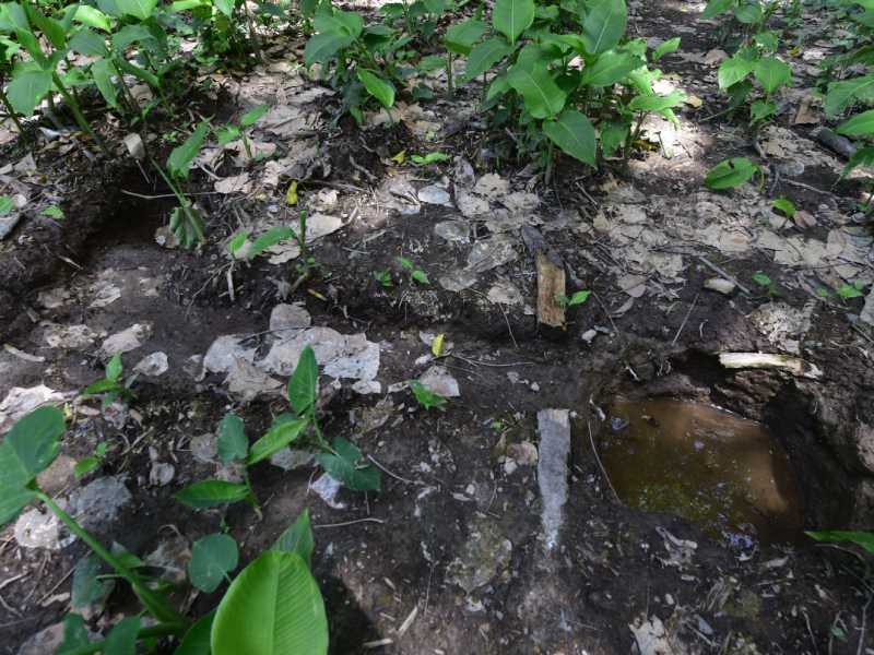 Finca El Espino, cerca del Ministerio de Relaciones Exteriores, será deforestada por la construcción del nuevo Cifco por el gobierno de China.