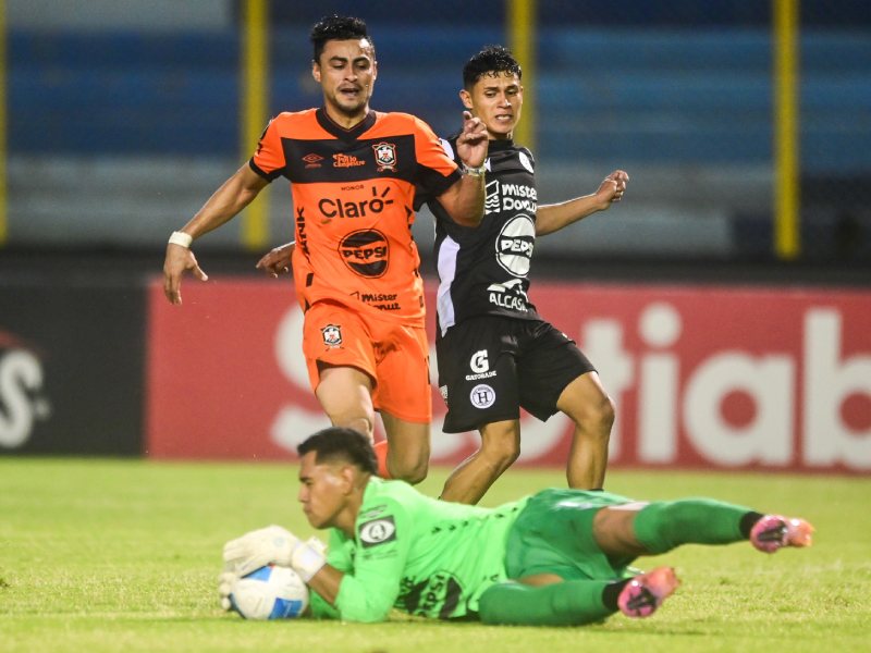Aguila Hércules