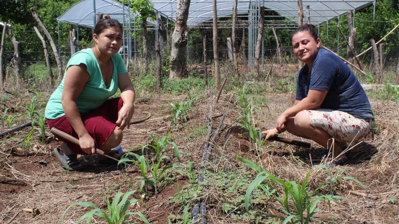Jacqueline y Gloria, del caserío y colonia El Havillal, cantón El Ciprés, Conchagua, La Unión Sur.