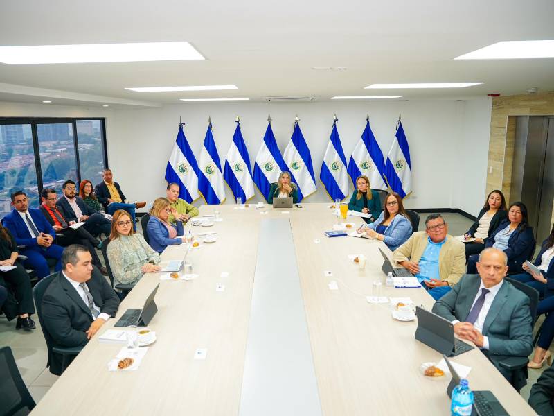 Pleno del Tribunal Supremo Electoral | cortesía.