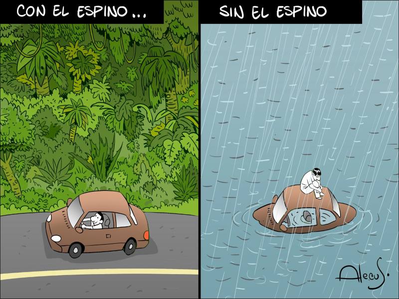 Alecus El Espino