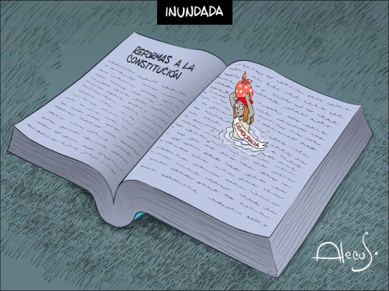 alecus consittucion democracia