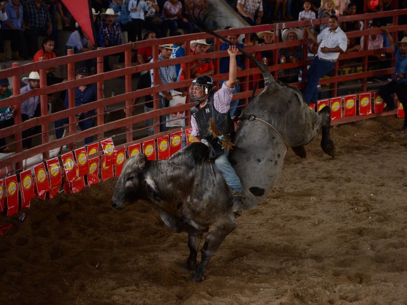 En estos eventos se llevan a cabo competencias, algunos apuestan grandes cantidades de dinero a su favorito.