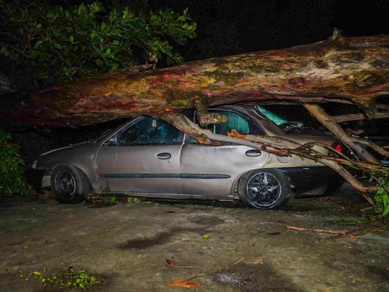Un árbol cayó en un vehículo estacionado en la colonia Ivu, en Santa Ana. Las lluvias provocaron daños en varias zonas del distrito.