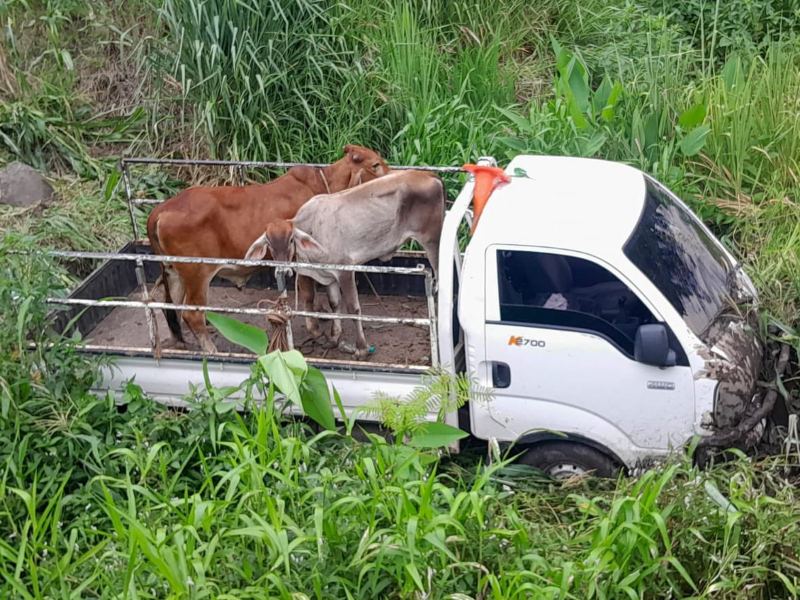 Así quedó el pick up. Foto / Cortesía PNC