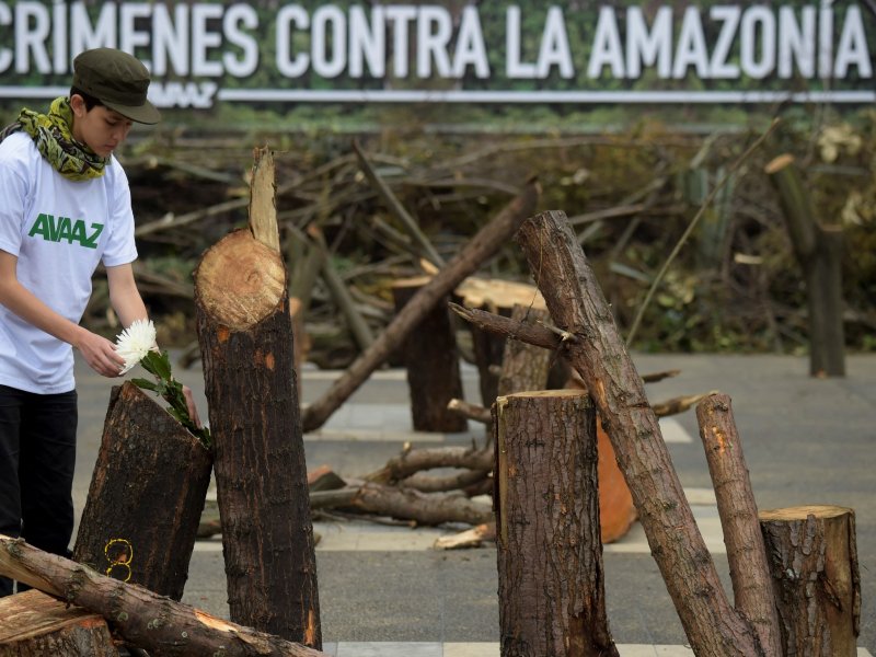 Ambientalistas Colombia Amazonía