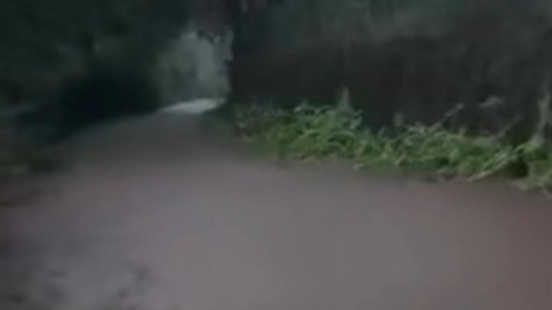 Calle inundada en San Fernando