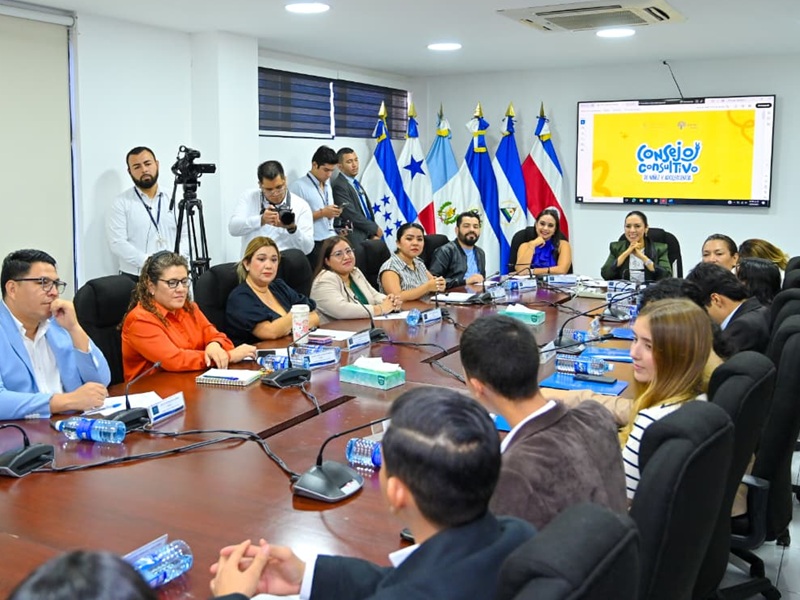 Comisión de Niñez