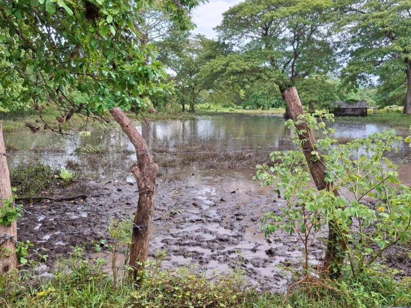 Inundaciones- Rio- Grande- San Miguel