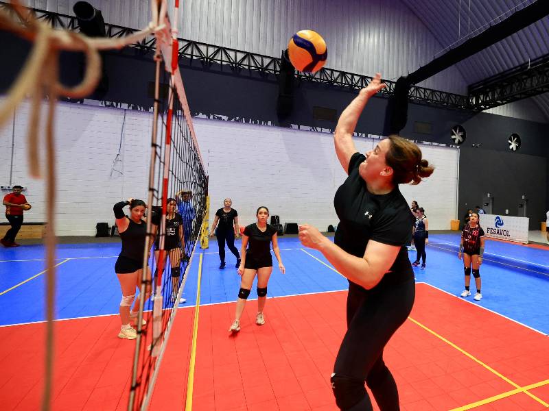 Selección Vóleibol