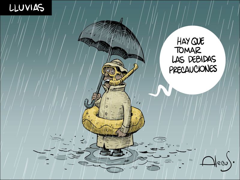 alecus lluvias (2)