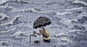 alecus lluvias