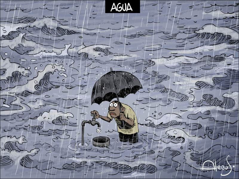 alecus lluvias