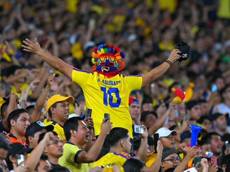 ecuador futbol seleccion