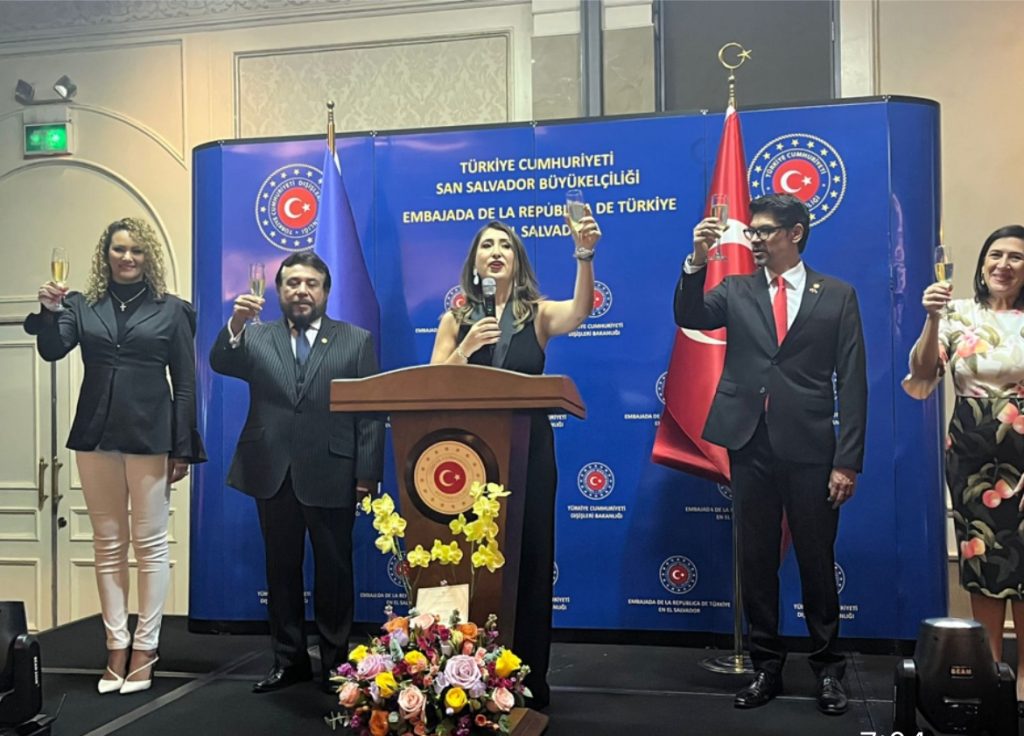 DIA NAICIONAL DE TURQUIA thumbnail