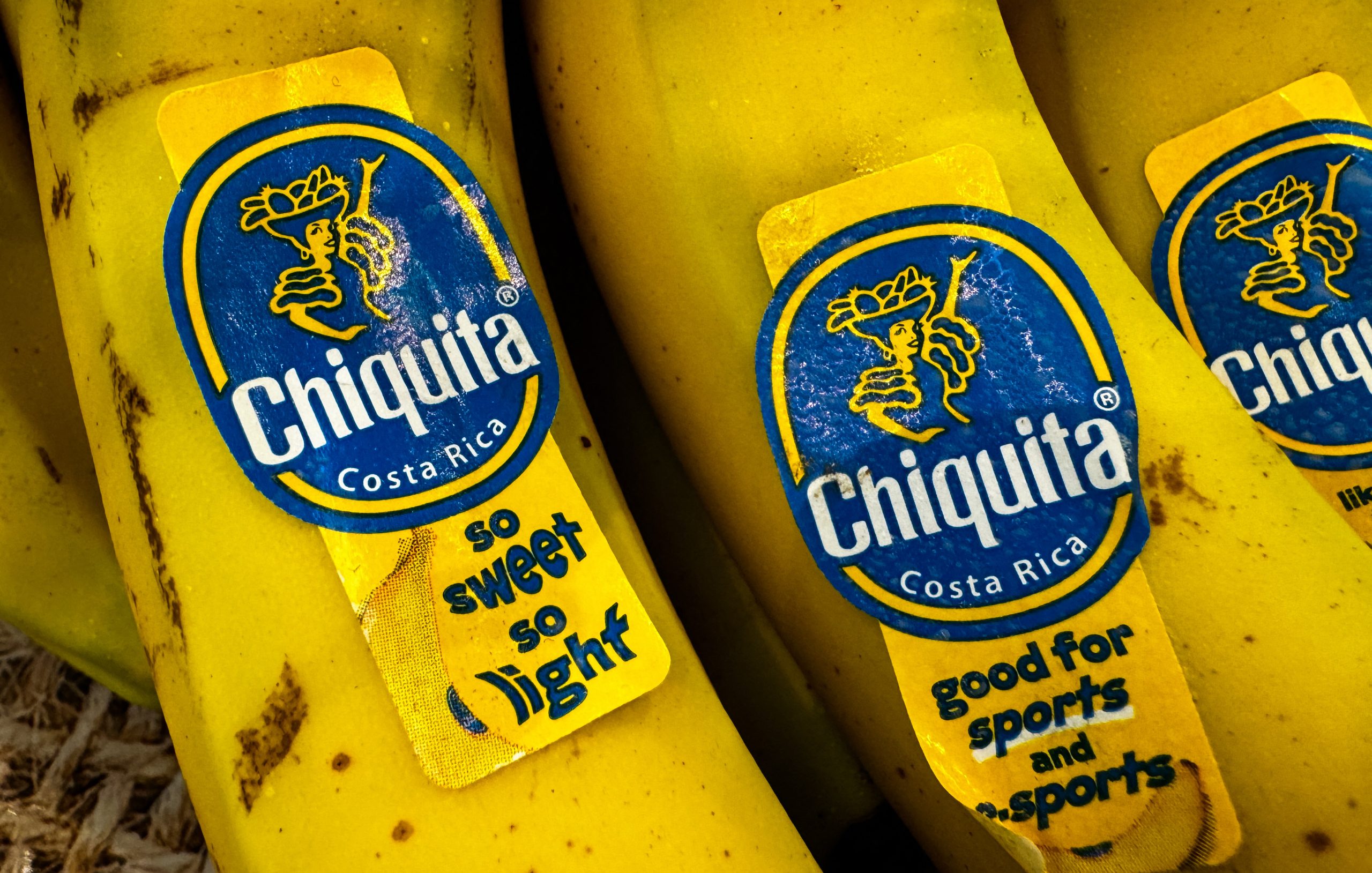Chiquita, Panamá