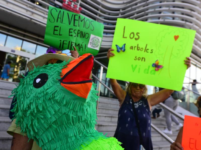 Movimiento Todos Somos El Espino protesta ante deforestacion y construccion de nuevo cifco