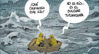 alecus lluvia