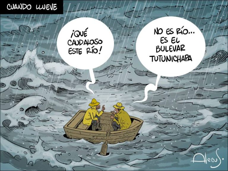 alecus lluvia