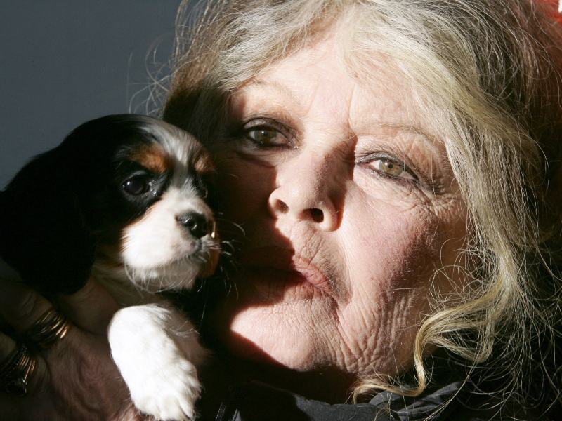 Brigitte Bardot