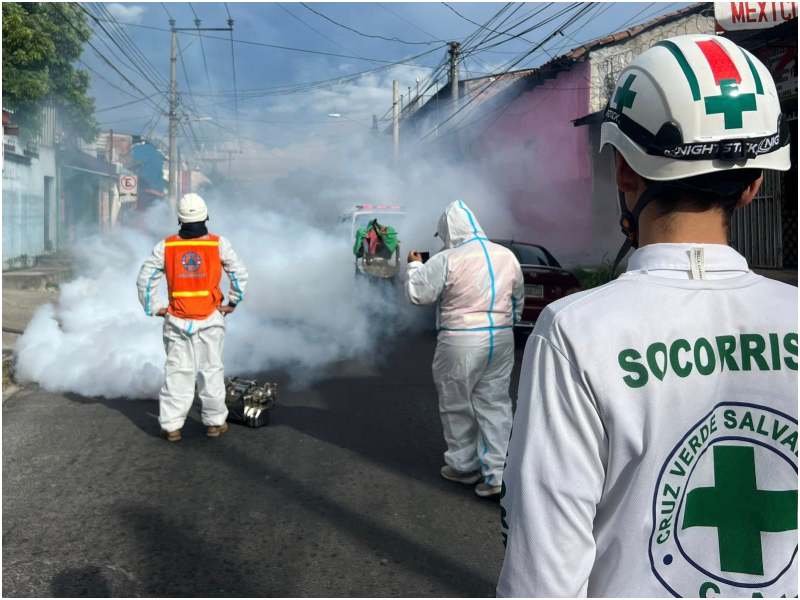 Momento en que los socorristas ahuyentan los insectos. Foto / Cruz Verde