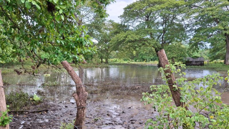 inundacion (2)