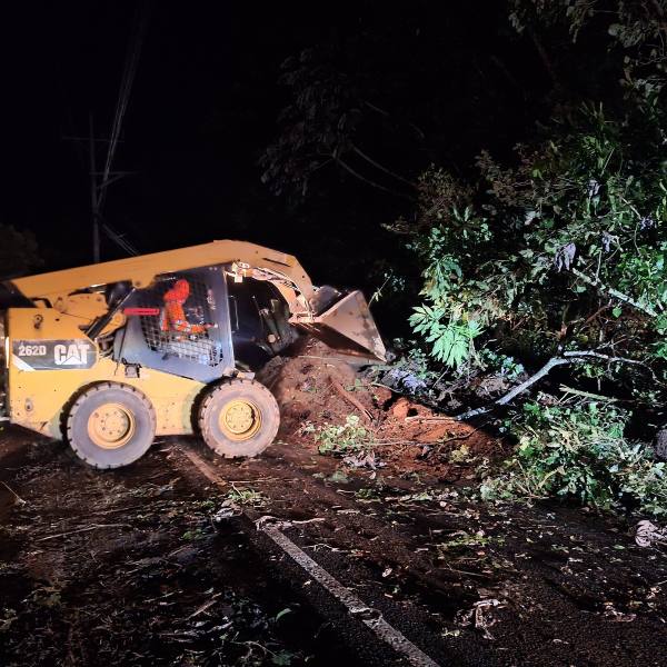 Las lluvias de las últimas horas dejaron varias emergencias, entre caídas de árboles, derrumbes y personas evacuadas