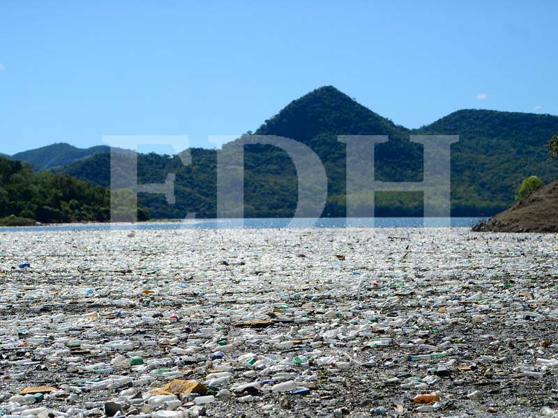 Miles de botellas plásticas, de restos de calzado y de electrodomésticos son parte de los residuos en el agua.