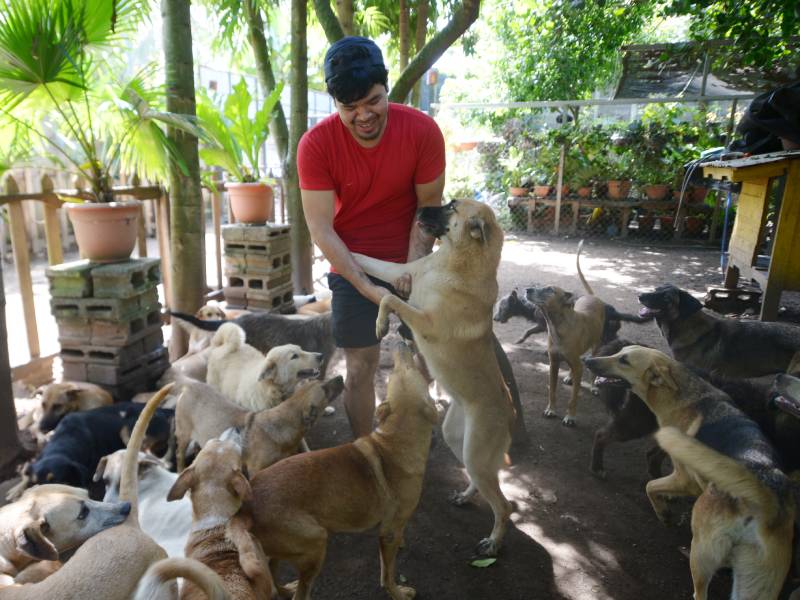 Mi jardin de peludos Ciudad Arce