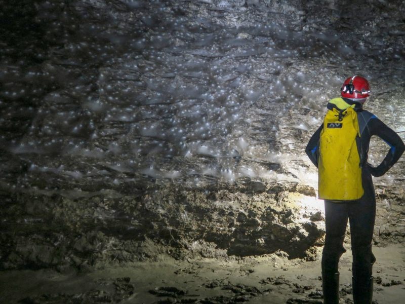 Telaraña gigante cueva grecia descubrimiento