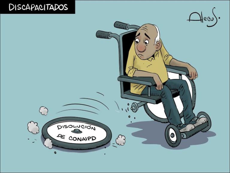 alecus Conaipd discapacitados