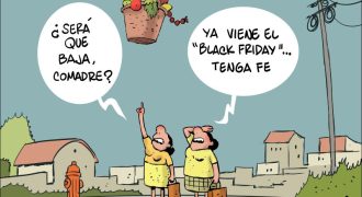 alecus canasta básica