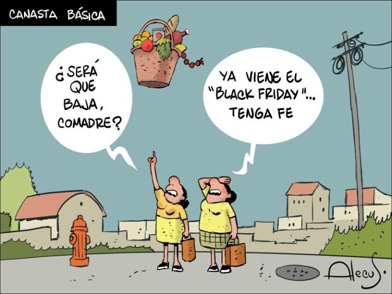 alecus canasta básica