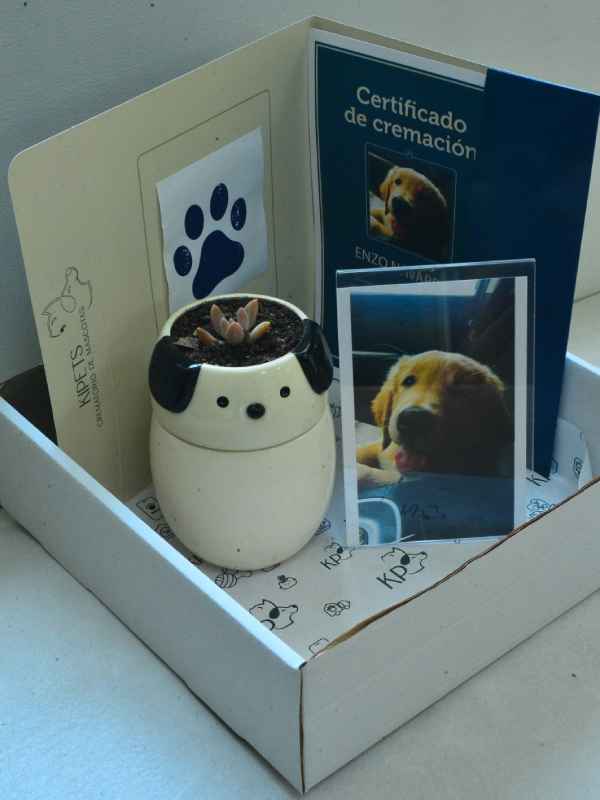 el costo de morir (4) thumbnail