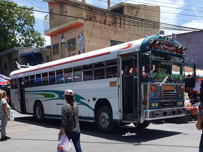 Ruta de buses 117 | foto cortesía