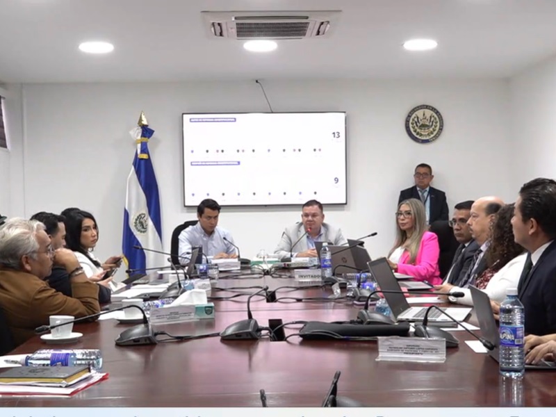 TSE en Comisión de Hacienda