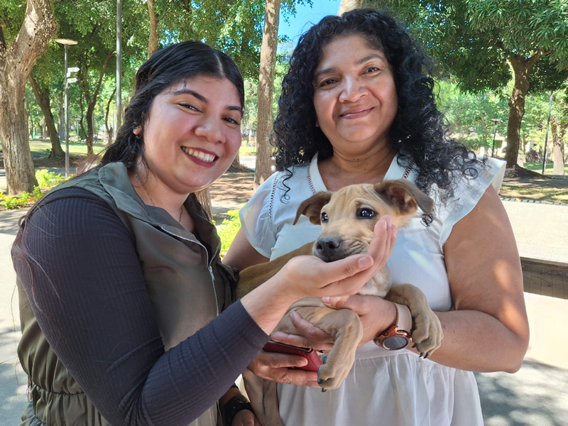 Adopción de erros en San Salvador