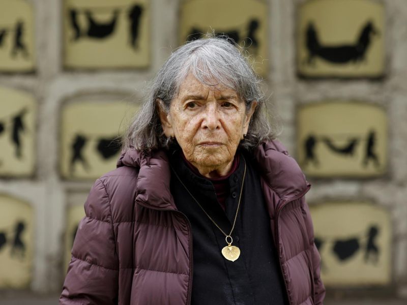 Artista visual colombiana Beatriz González