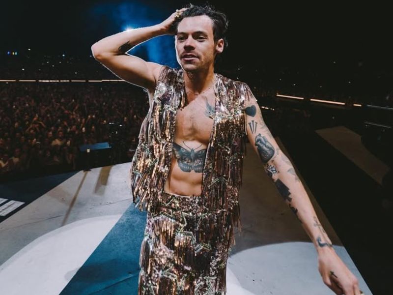 Cantante Harry Style