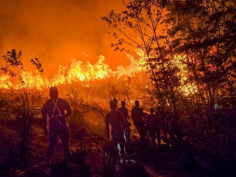 Incendio-La Hachadura - Ahuachapán
