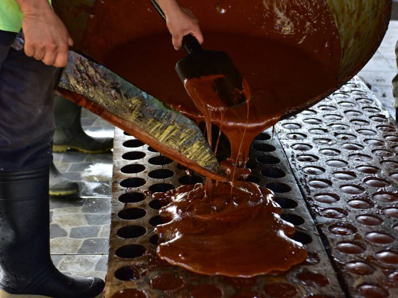 Santa Cruz Analquito, festival de la panela 2026