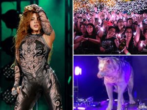 Shakira y Las mujeres ya no lloran