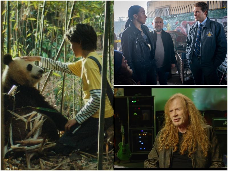 Checa las cintas que se estrenan esta semana. Fotos productoras