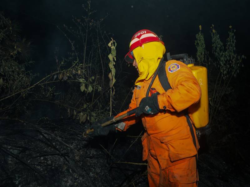 Incendios en maleza | cortesía