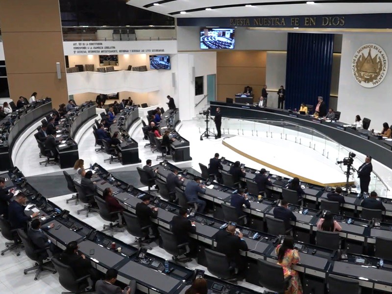 Sesión plenaria enero 2026